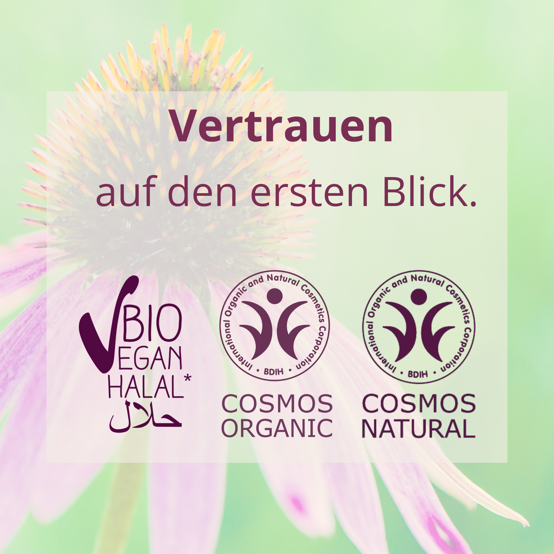 Unsere Siegel stehen für das, worauf du zählen kannst: ? COSMOS ORGANIC • BIO • VEGAN • HALAL Gut sichtbar auf jeder Verpackung – für echte Transparenz in deiner Naturkosmetik.
